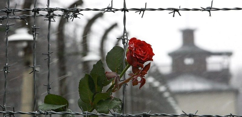 Память жива