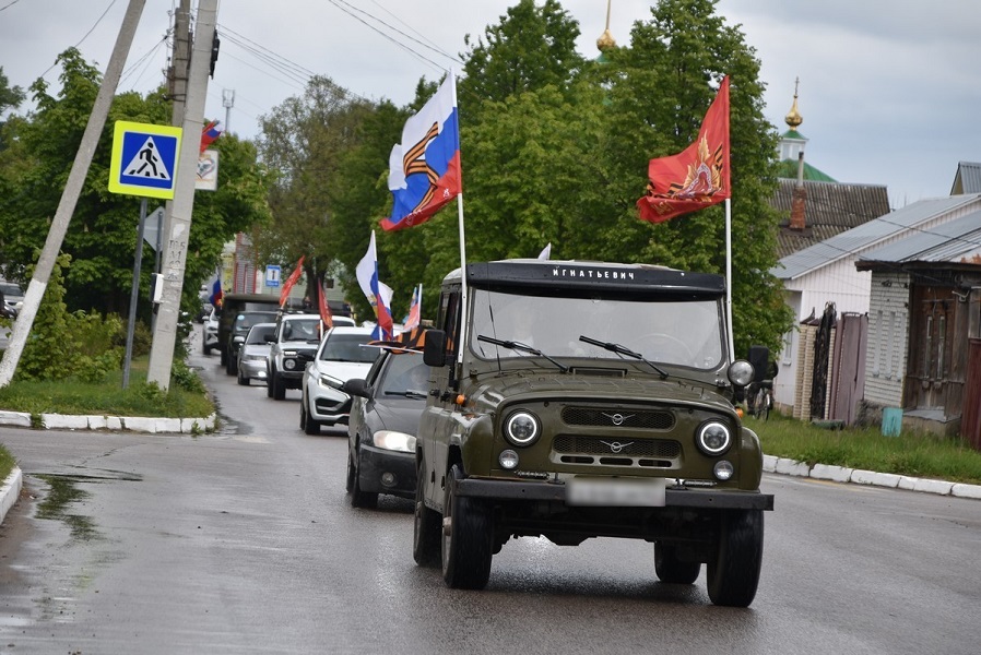 Рязанская область присоединится ко Всероссийской акции «Цвета Родины»